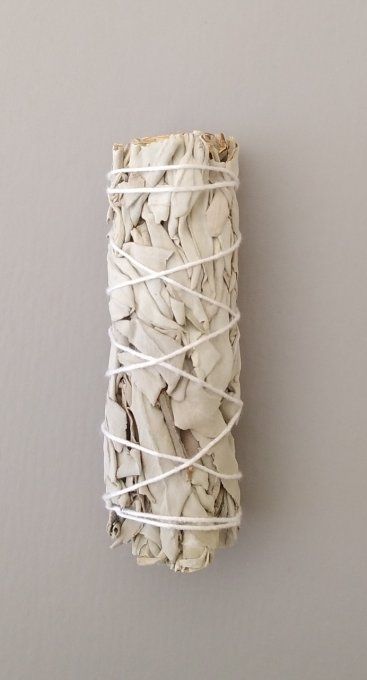 Bâton de Sauge blanche