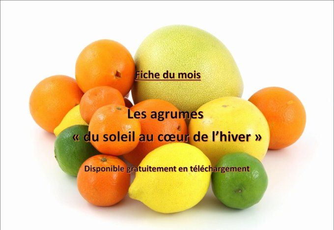 les agrumes